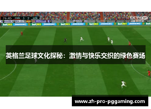 英格兰足球文化探秘：激情与快乐交织的绿色赛场