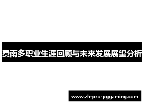 费南多职业生涯回顾与未来发展展望分析