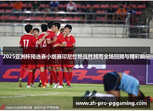 2025亚洲杯预选赛小组赛印尼惊艳战胜越南全场回顾与精彩瞬间